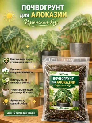 Почвогрунт для Алоказии для кашпо до 10л