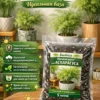 Почвогрунт для аспарагуса для кашпо до 5л Почвогрунт для аспарагуса для кашпо до 5л