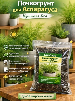 Почвогрунт для аспарагуса для кашпо до 10л