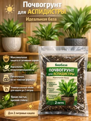 Почвогрунт для аспидистры для кашпо до 2л