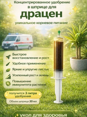 Концентрированное удобрение для драцен
