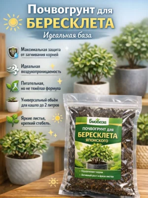 Почвогрунт для бересклета для кашпо до 2л