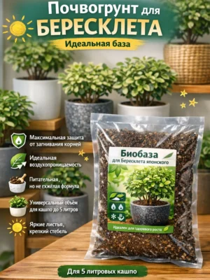 Почвогрунт для бересклета для кашпо до 5л Почвогрунт для бересклета для кашпо до 5л
