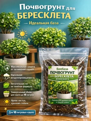 Почвогрунт для бересклета для кашпо до 10л