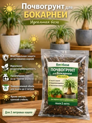 Почвогрунт для бокарнеи для кашпо до 2л Почвогрунт для бокарнеи для кашпо до 2л