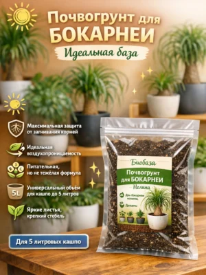 Почвогрунт для бокарнеи для кашпо до 5л
