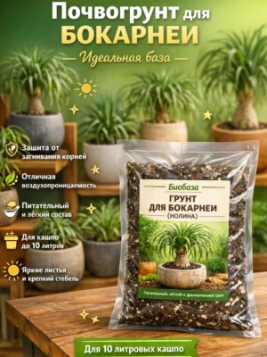 Почвогрунт для бокарнеи для кашпо до 10л Почвогрунт для бокарнеи для кашпо до 10л