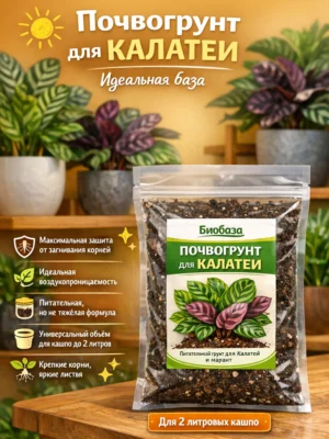 Почвогрунт для калатеи для кашпо до 2л Почвогрунт для калатеи для кашпо до 2л