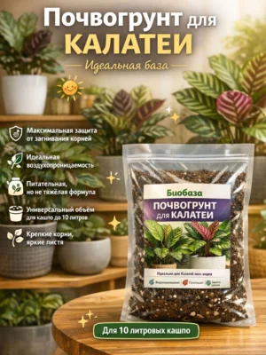 Почвогрунт для калатеи для кашпо до 10л