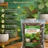 Почвогрунт для маранты для кашпо до 2л