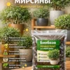 Почвогрунт для мирсины для кашпо до 10л