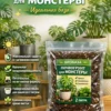 Почвогрунт для монстеры для кашпо до 2л