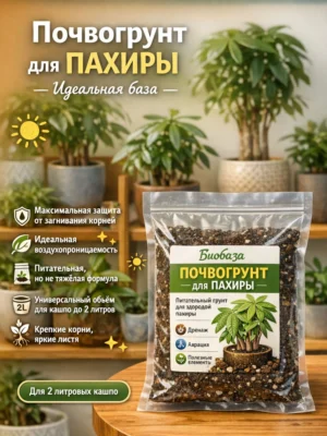 Почвогрунт для пахиры для кашпо до 2л
