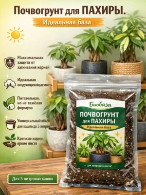 Почвогрунт для пахиры для кашпо до 5л
