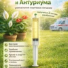 Концентрированное удобрение для спатифиллума и антуриума