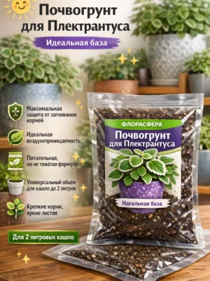 Почвогрунт для плектрантуса для кашпо до 2л
