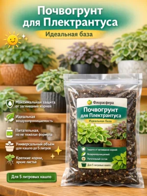 Почвогрунт для плектрантуса для кашпо до 5л