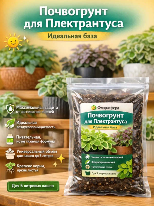 Почвогрунт для плектрантуса для кашпо до 5л