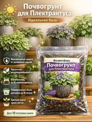 Почвогрунт для плектрантуса для кашпо до 10л