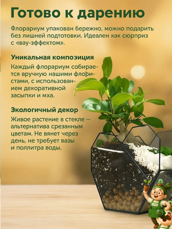 Бонсай в флорариуме сердце