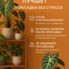 Почвогрунт для Алоказии для кашпо до 10л