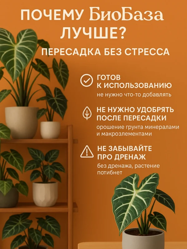 Почвогрунт для Алоказии для кашпо до 10л