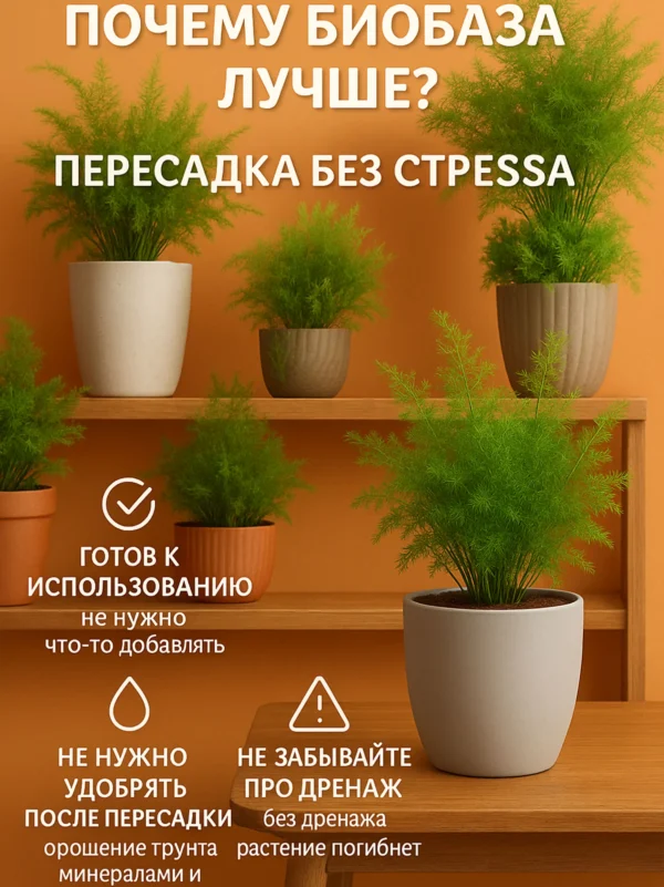 Почвогрунт для аспарагуса для кашпо до 10л