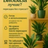 Почвогрунт для аспидистры для кашпо до 2л