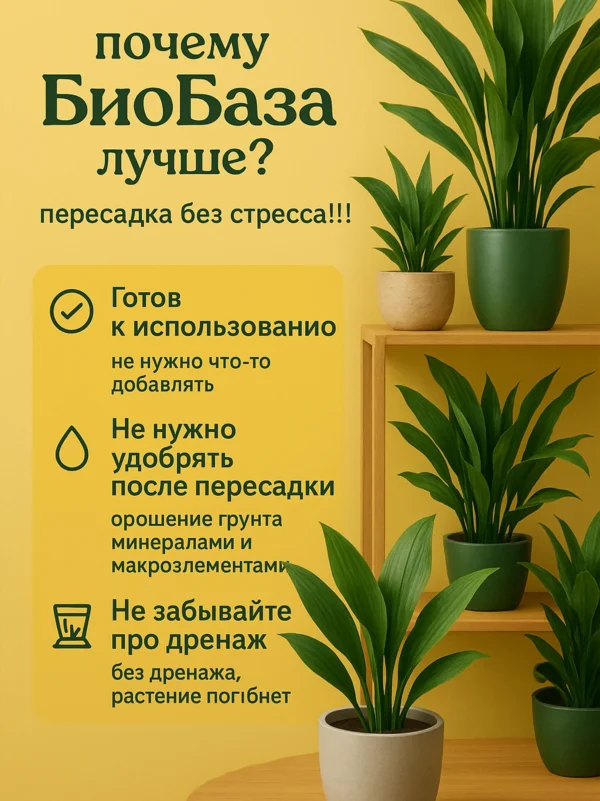 Почвогрунт для аспидистры для кашпо до 2л