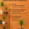2_флорасфера Почвогрунт для бокарнеи для кашпо до 10л