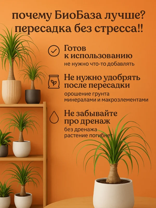 2_флорасфера Почвогрунт для бокарнеи для кашпо до 10л