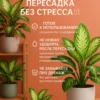2_флорасфера Почвогрунт для диффенбахии для кашпо до 10л