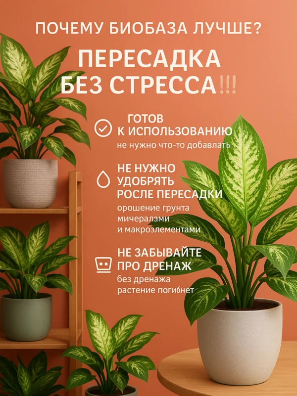 2_флорасфера Почвогрунт для диффенбахии для кашпо до 10л