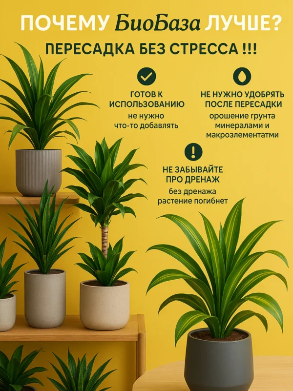 Почвогрунт для драцен для кашпо до 5л