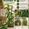 Подпора декоративная для растений 3шт