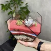 Три суккулента в флорариуме сердце