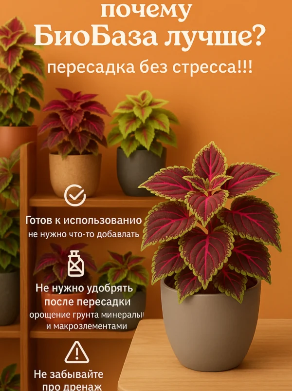 Почвогрунт для колеуса для кашпо до 2л