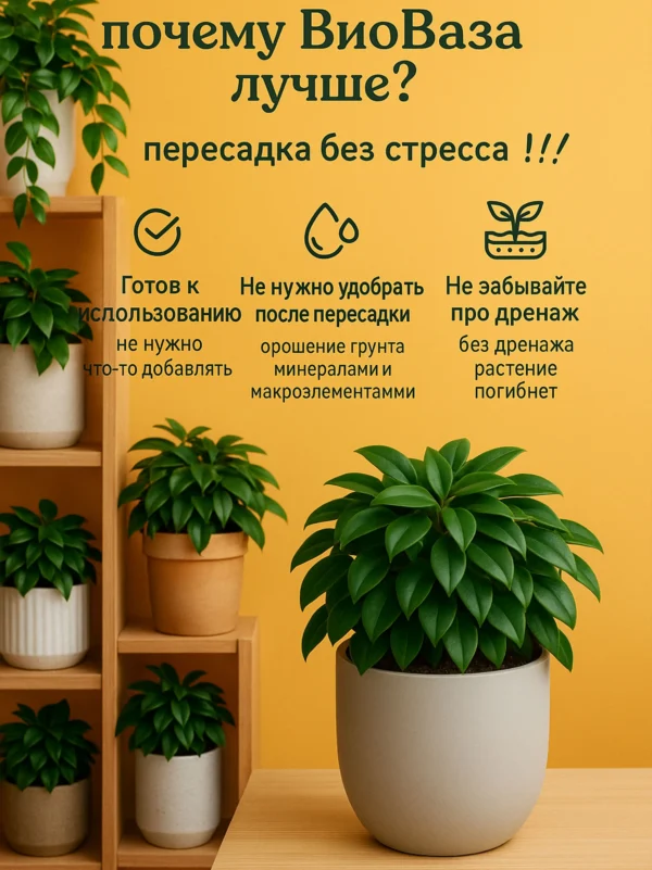 3_флорасфера Почвогрунт для колумнея для кашпо до 5л