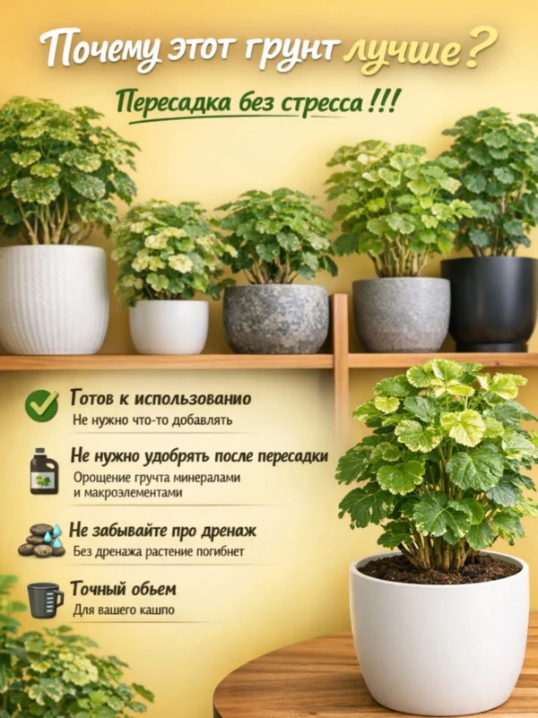 3_флорасфера Почвогрунт для полисциаса для кашпо до 10л