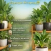 3_флорасфера Почвогрунт для стрелиции для кашпо до 5л