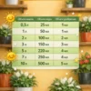 Концентрированное удобрение для спатифиллума и антуриума
