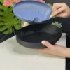 Бонсайница с корневым поливом черно голубая