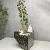 4 Денежное дерево в флорариуме скошенный квадрат M