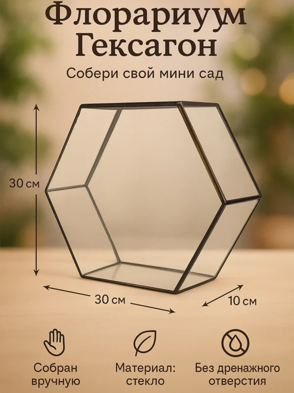 Флорариум пустой гексагон
